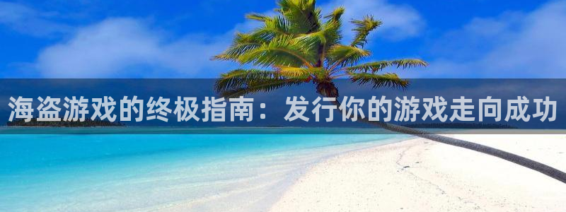 新宝gg登录了还能上吗：海盗游戏的终极指南：发行你的游戏走向成功