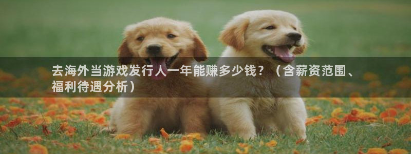 新宝gg创造奇迹平台怎么样：去海外当游戏发行人一年能赚多少钱？（含薪资范围、
福利待遇分析）
