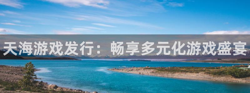 新宝gg账号注册平台：天海游戏发行：畅享多元化游戏盛宴