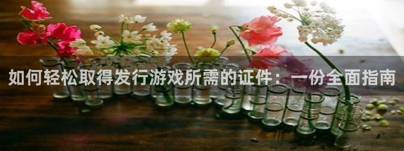 新宝GG平台负责人：如何轻松取得发行游戏所需的证件：一份全面指南