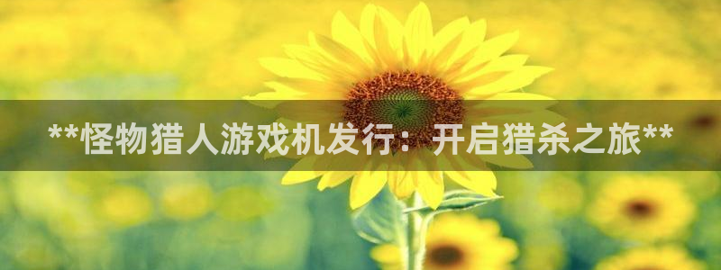 新宝gg登录不上去了了：**怪物猎人游戏机发行：开启猎杀之旅**