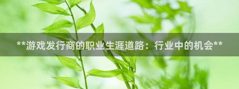 新宝5gg一创造奇迹：**游戏发行商的职业生涯道路：行业中的机会**