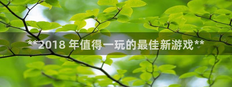 新宝gg创造奇迹登录入口网址：**2018 年值得一玩的最佳新游戏**