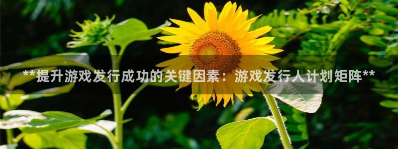 新宝gg一创造奇迹登：**提升游戏发行成功的关键因素：游戏发行人计划矩阵**